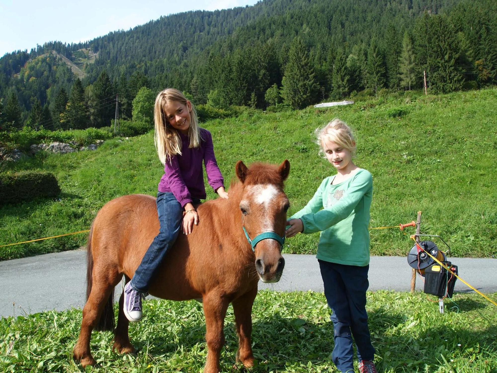 Ferienhof Obergasser Und Bergblick Weissensee Eksteriør bilde